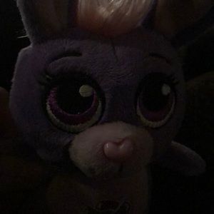 Meet your Posher, Lori